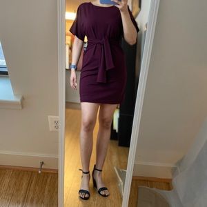 Express Dolman Dress